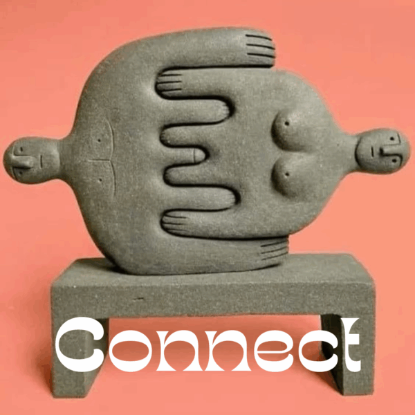 CONNECT 6 ugers online forløb